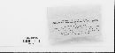 Ceratostoma spurium image