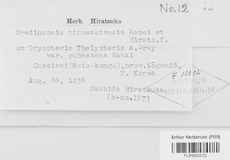 Uredinopsis hirosakiensis image