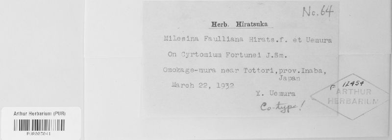 Milesina faulliana image