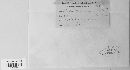 Pucciniastrum epilobii image