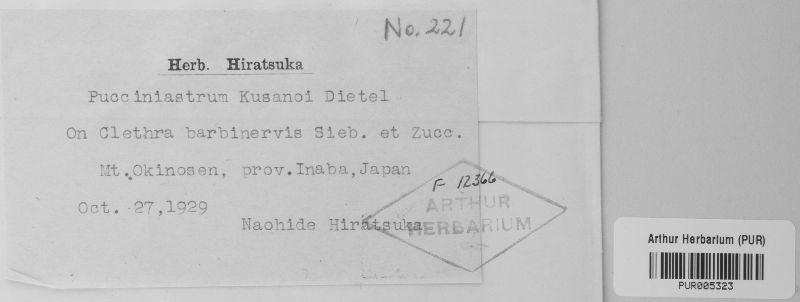 Pucciniastrum kusanoi image