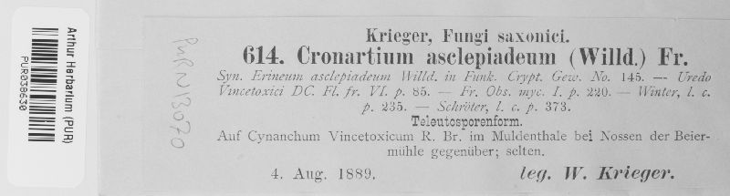 Cronartium flaccidum image