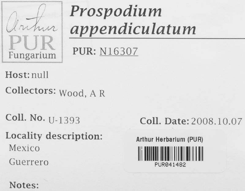 Prospodium appendiculatum image