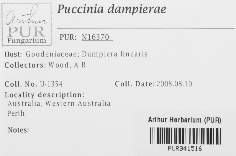 Puccinia dampierae image