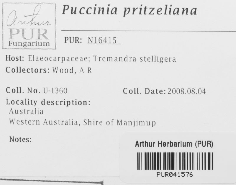 Puccinia pritzeliana image