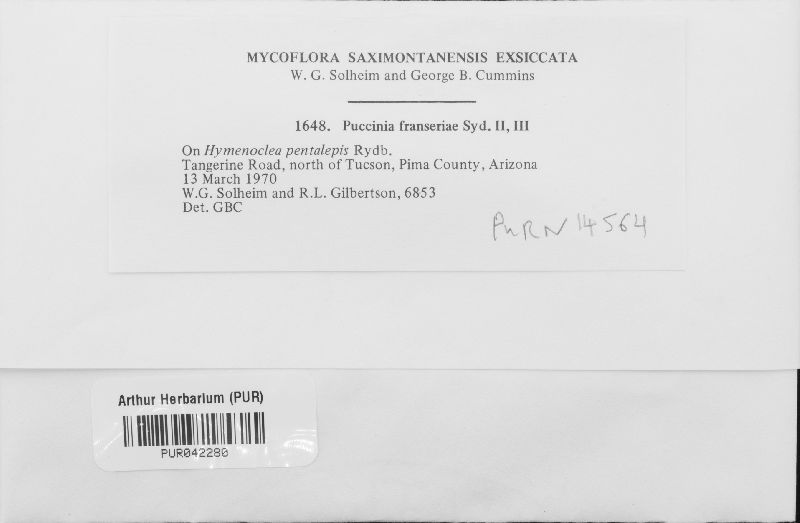 Puccinia franseriae image