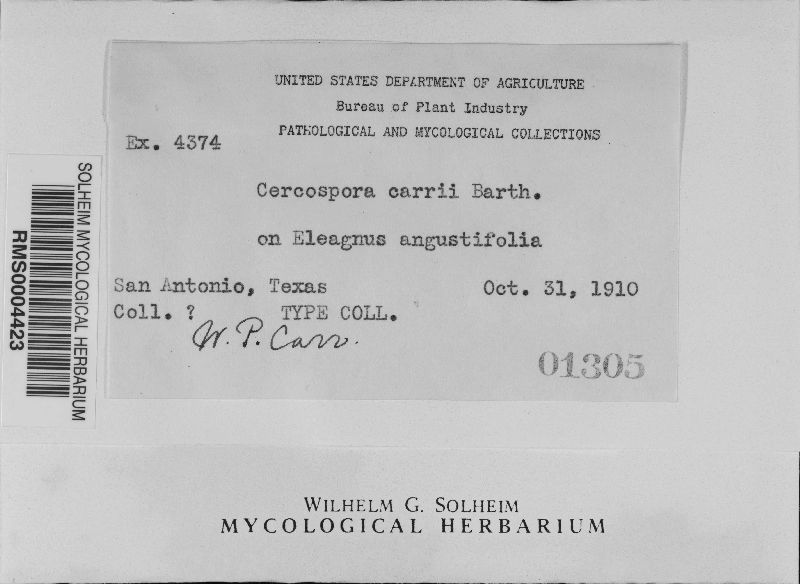 Cercospora carrii image