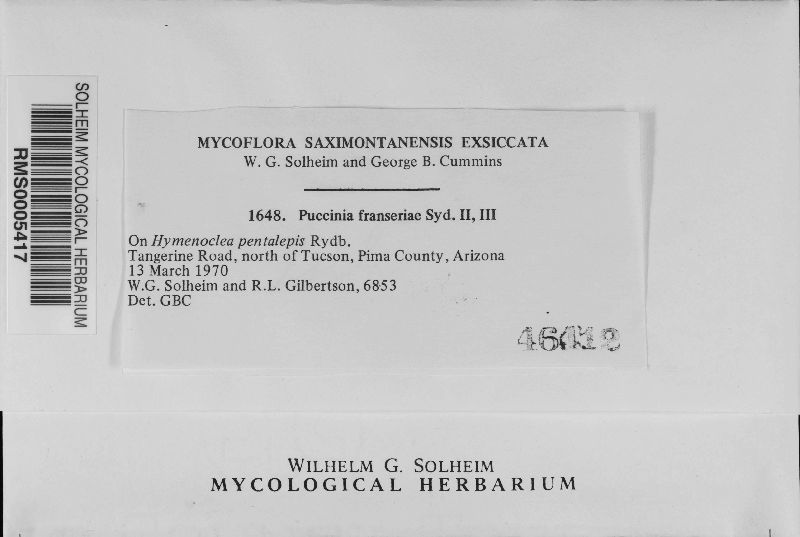Puccinia franseriae image
