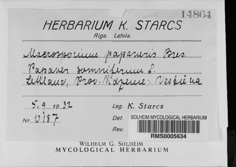 Macrosporium papaveris image