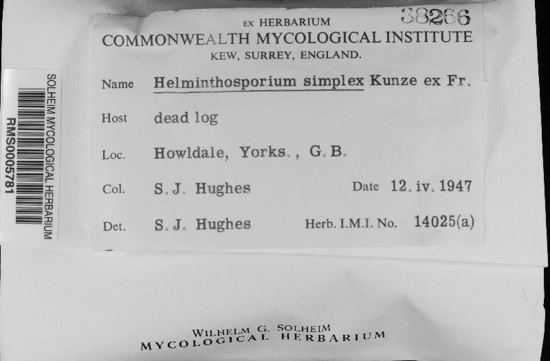 Helminthosporium simplex image