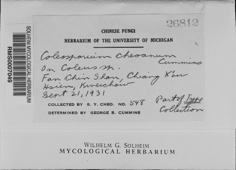 Coleosporium cheoanum image