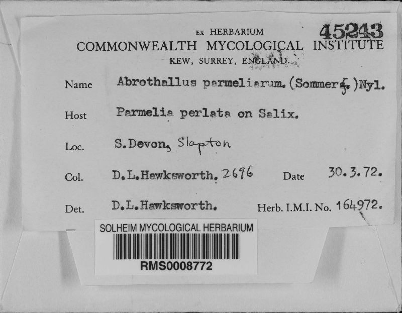 Abrothallus parmeliarum image
