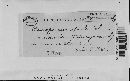 Claviceps purpurea image