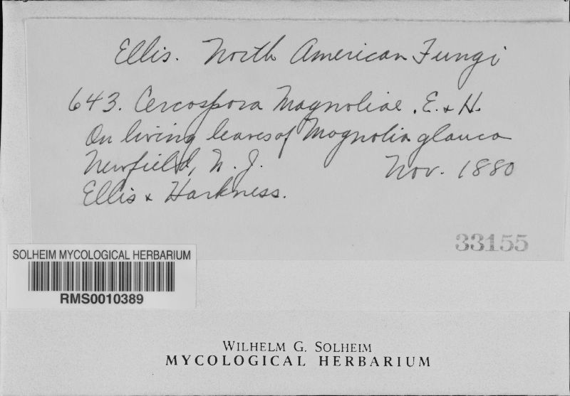 Passalora magnoliae image