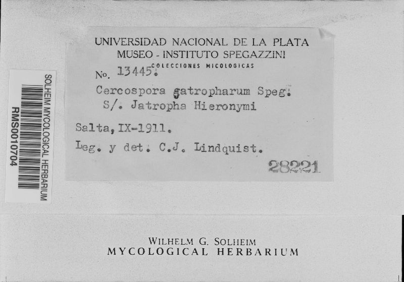 Cercospora jatropharum image