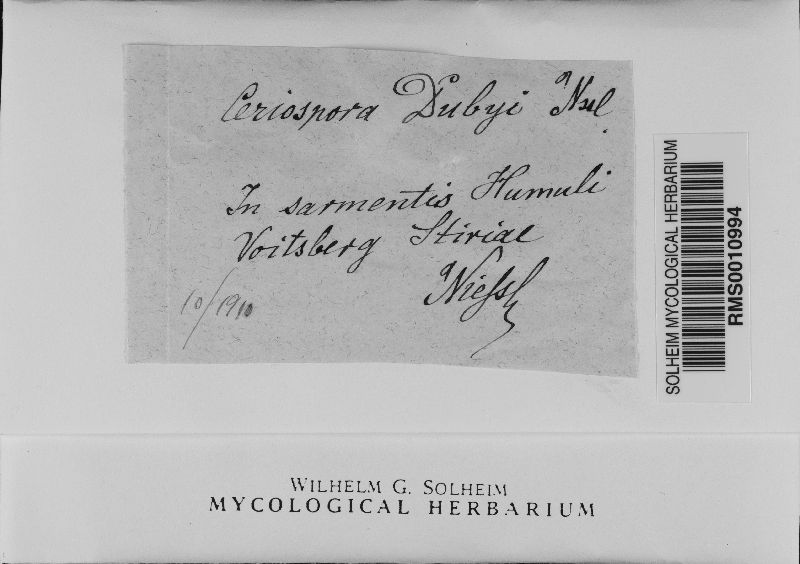 Ceriospora dubyi image