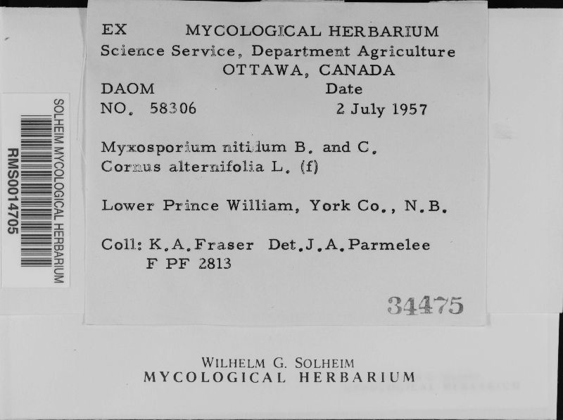 Myxosporium image