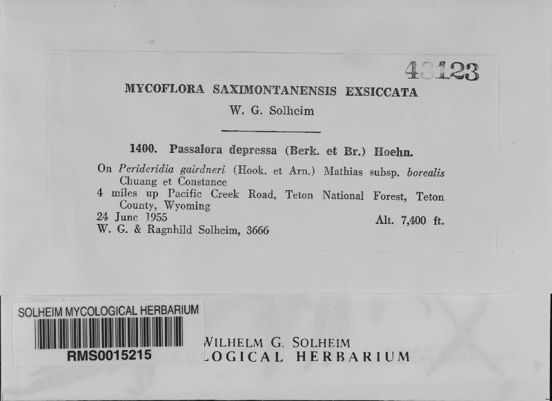 Passalora depressa image