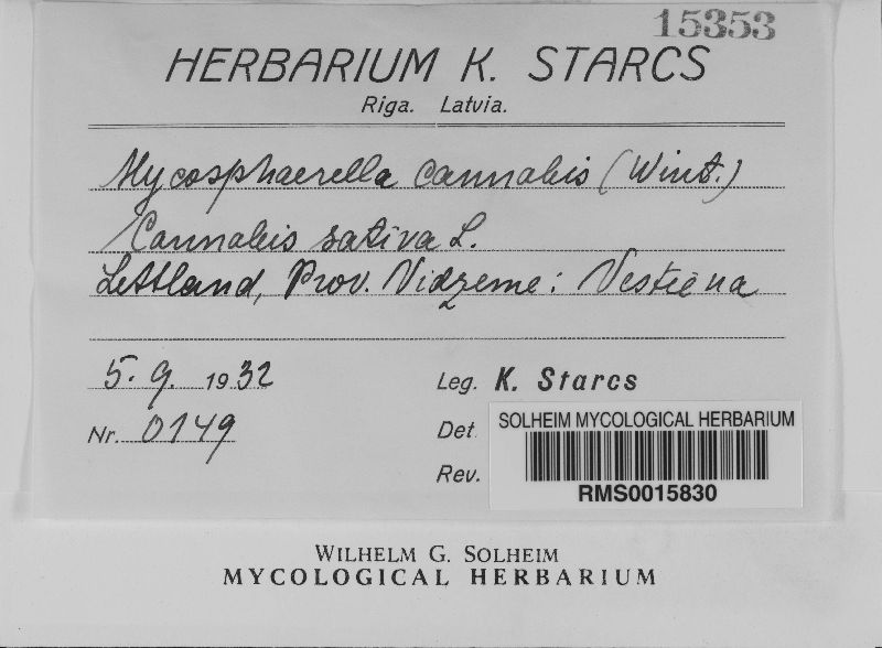 Neodidymelliopsis cannabis image