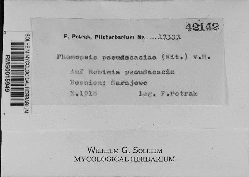 Phomopsis pseudacaciae image