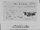 Puccinia recondita image