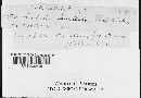 Sordaria fimicola image