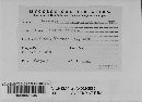 Puccinia rubefaciens image