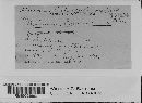 Puccinia seymouriana image