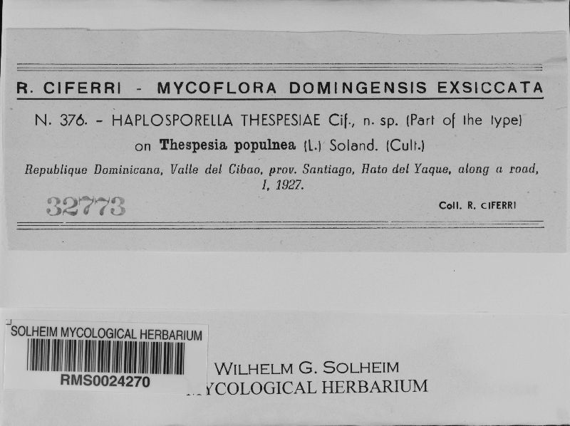 Aplosporella thespesiae image