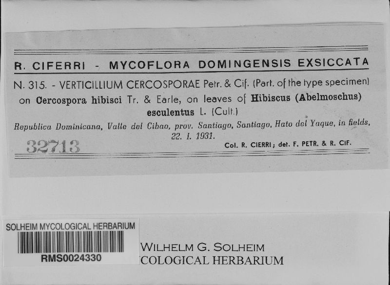 Verticillium cercosporae image