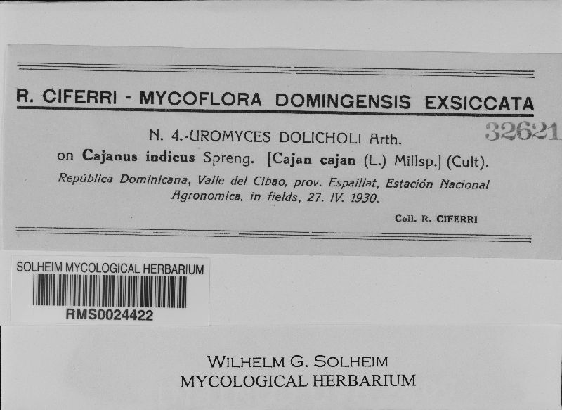 Uromyces dolichi image