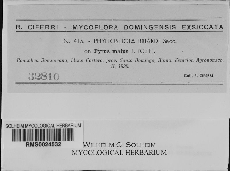 Phyllosticta briardii image