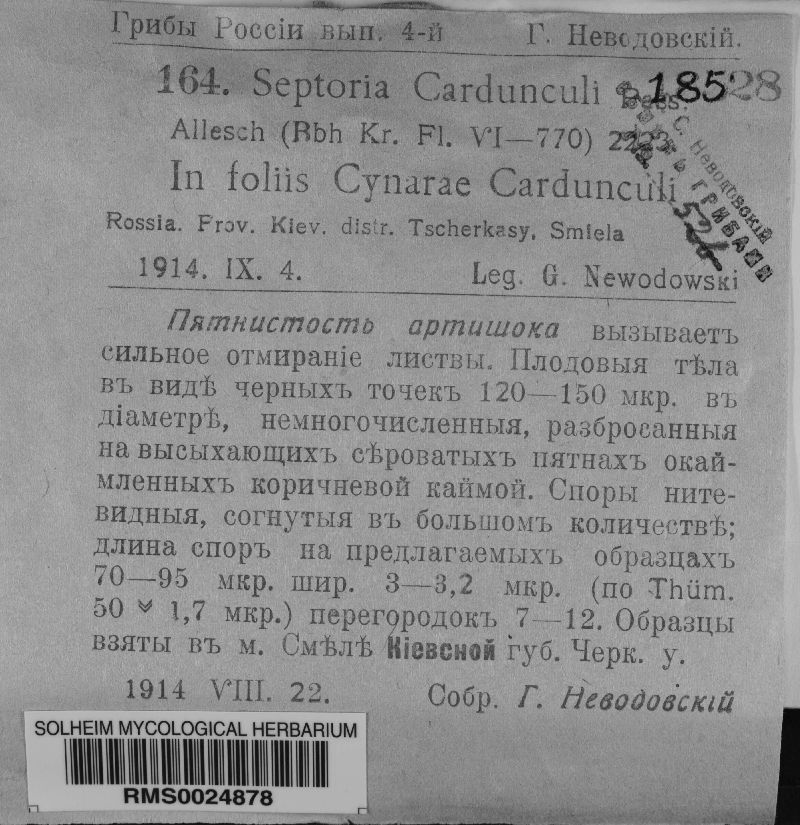 Septoria cardunculii image