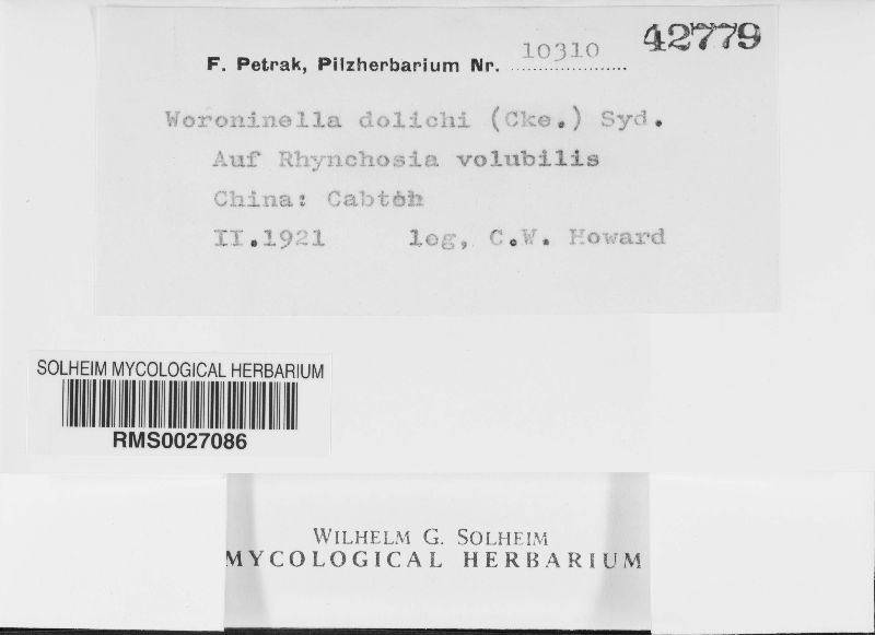 Woroninella dolichi image