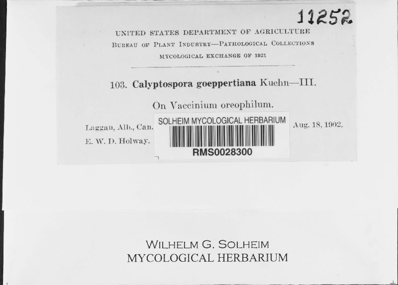 Calyptospora geoppertiana image
