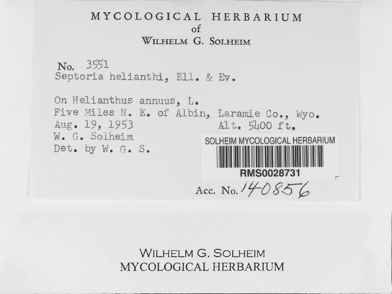 Septoria helianthi image