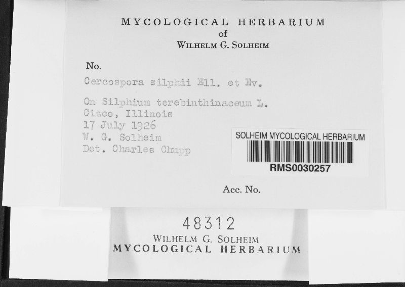 Cercospora silphii image