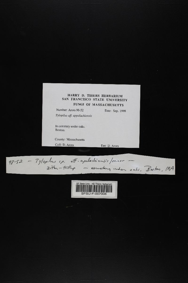 Tylopilus appalachiensis image