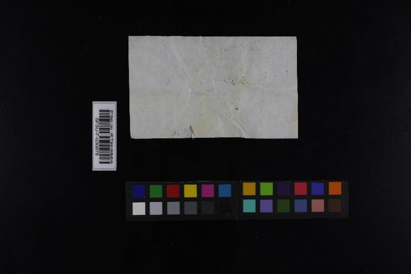 Russula burgeae image