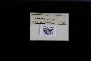 Fomitopsis cajanderi image