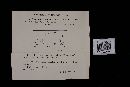Fomitopsis rosea image