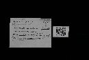 Gloeoporus dichrous image