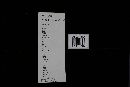Gloeoporus dichrous image