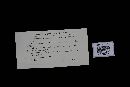 Gloeoporus dichrous image