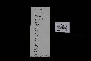 Gloeoporus dichrous image