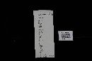 Hapalopilus rutilans image