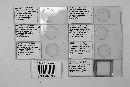 Teratomyces mirificus image