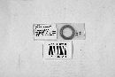 Monoicomyces homalotae image