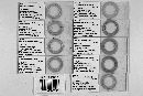 Autoicomyces aquatilis image