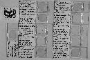 Triceromyces hydrometrae image